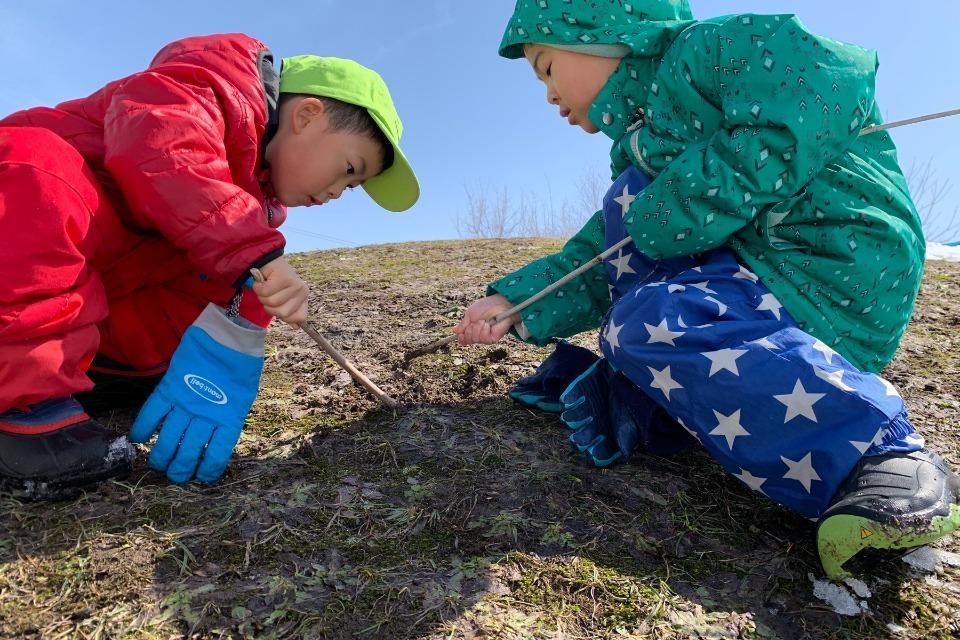 How support is used Image