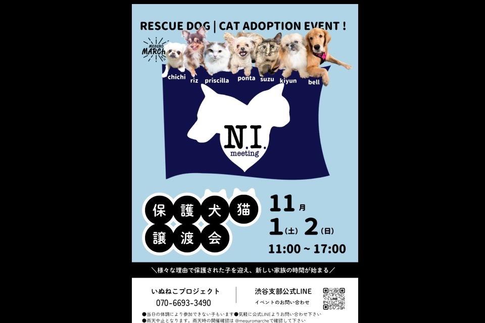 支援金の使い道の画像