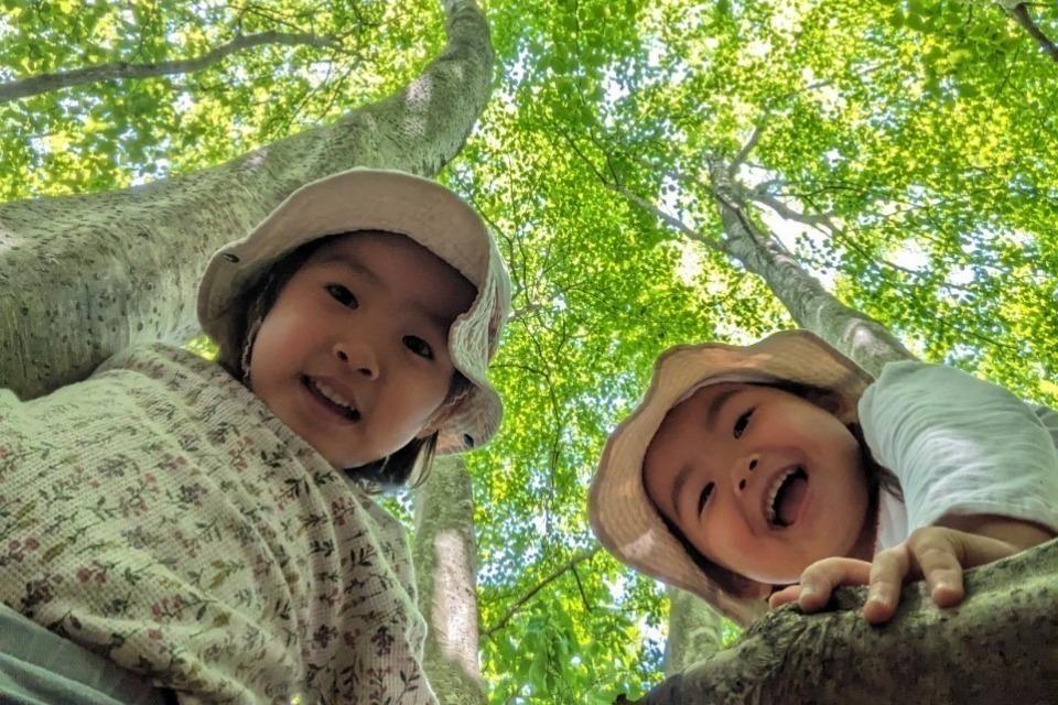 支援金の使い道の画像