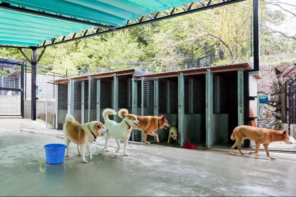 支援金の使い道の画像