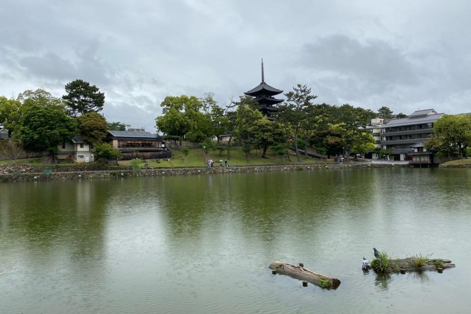 支援金の使い道の画像