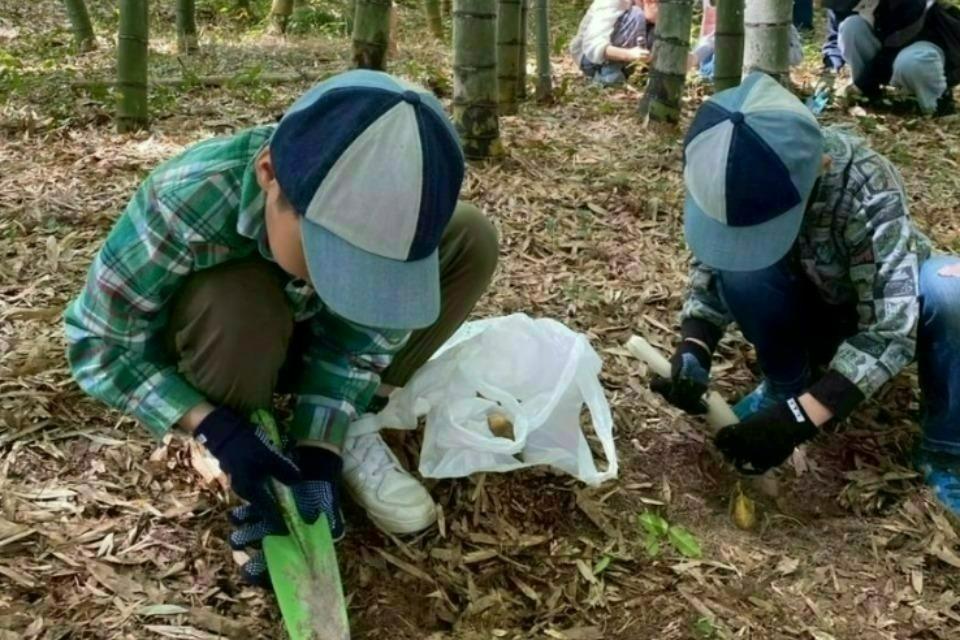 支援金の使い道の画像