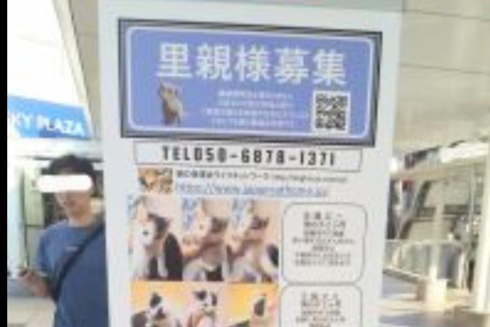 支援金の使い道の画像