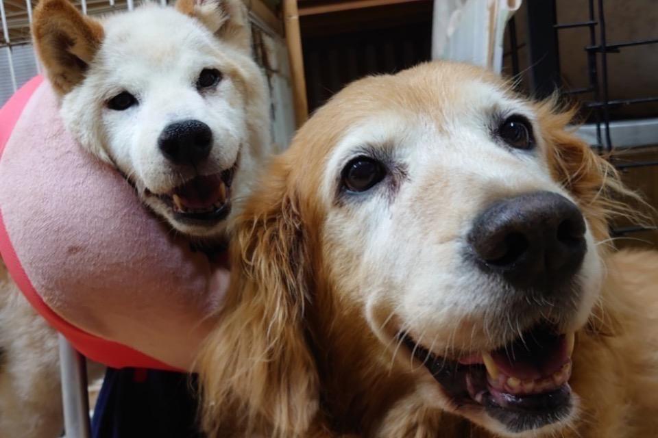 支援金の使い道の画像