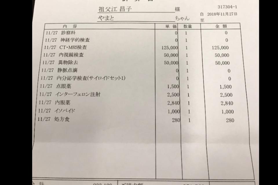 支援金の使い道の画像