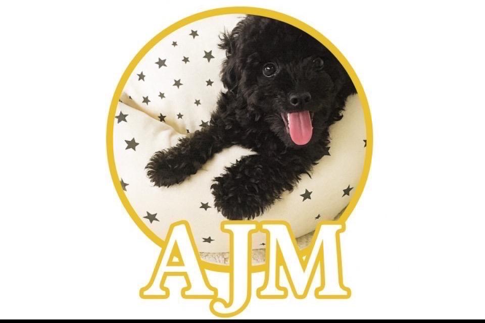 支援金の使い道の画像