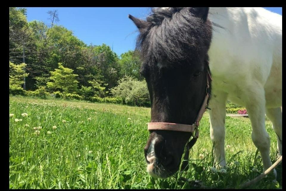 How support is used Image