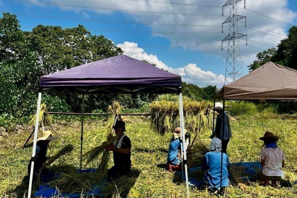 支援金の使い道の画像