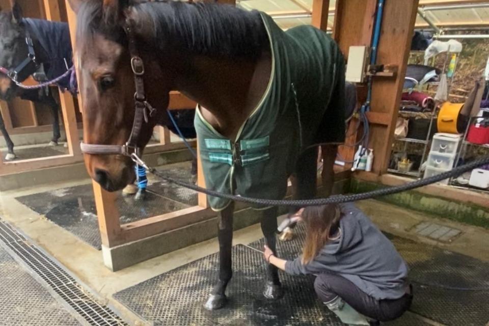 支援金の使い道の画像