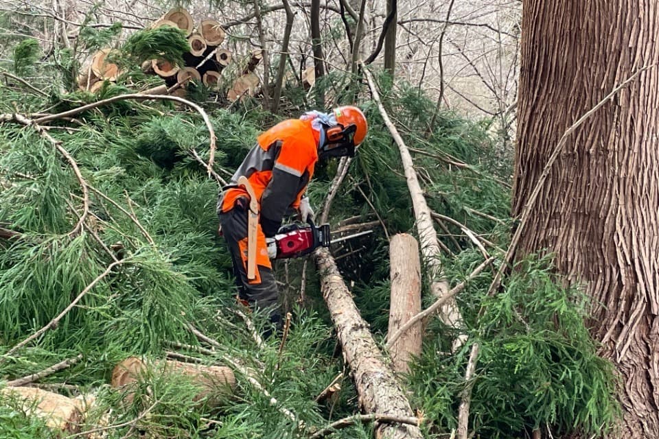 支援金の使い道の画像