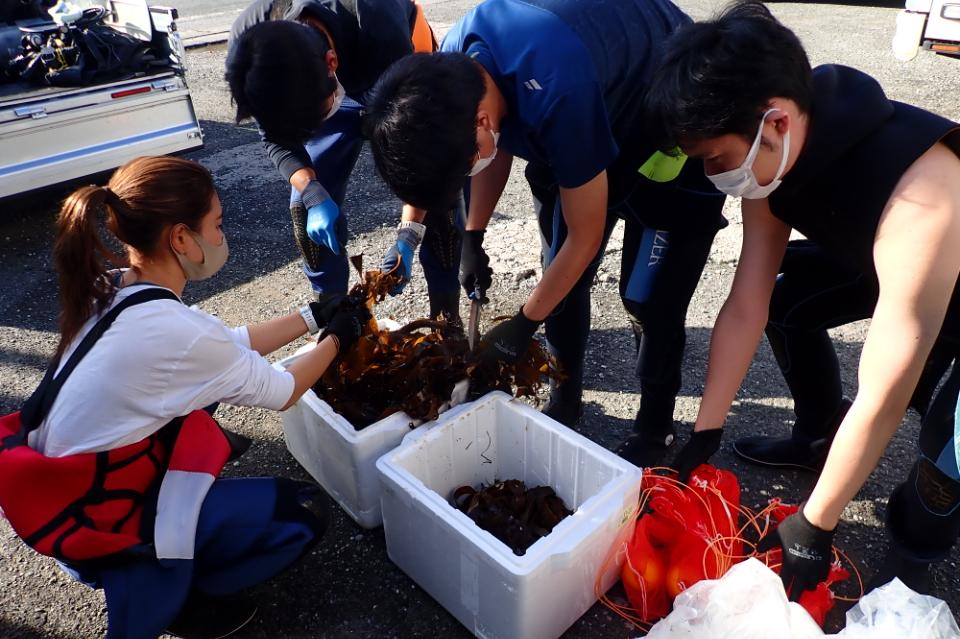 How support is used Image