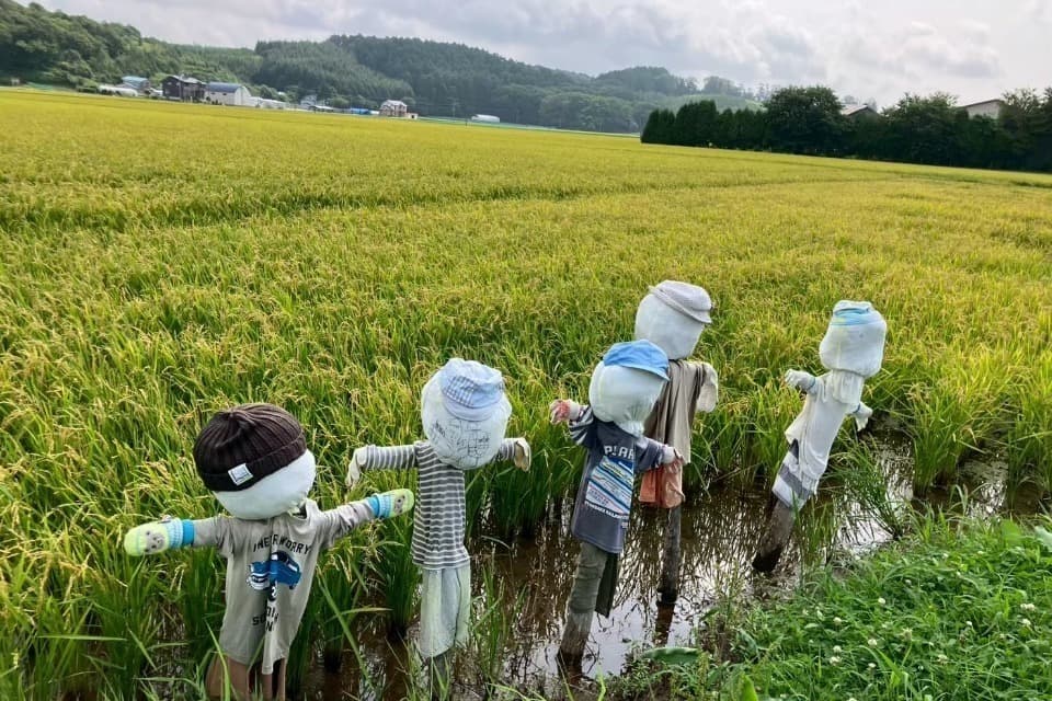 支援金の使い道の画像