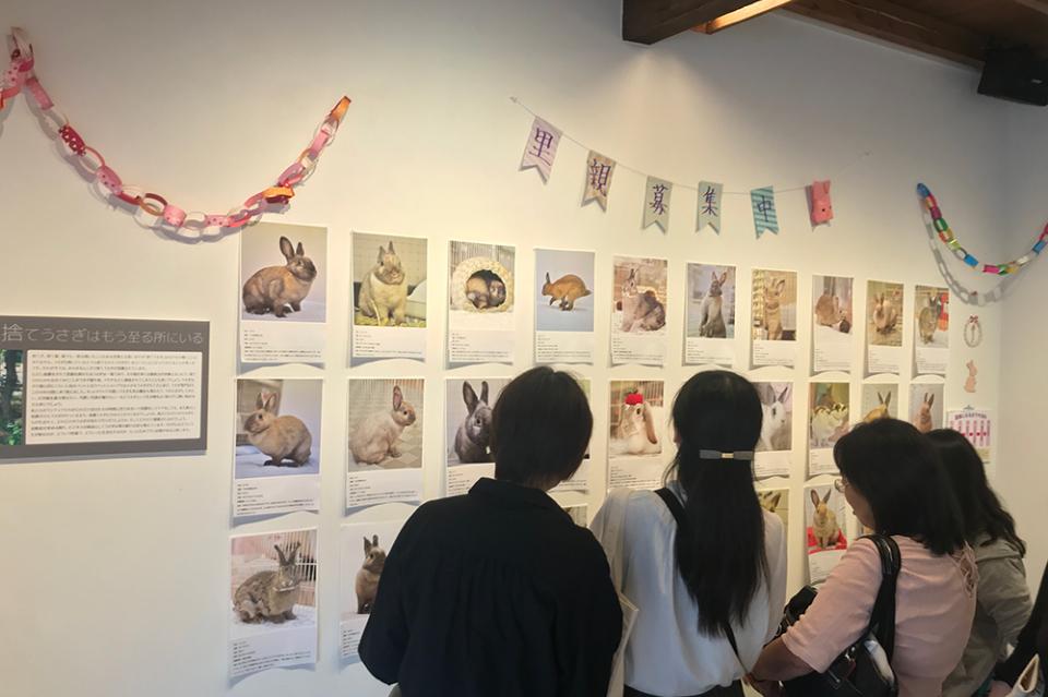 How support is used Image