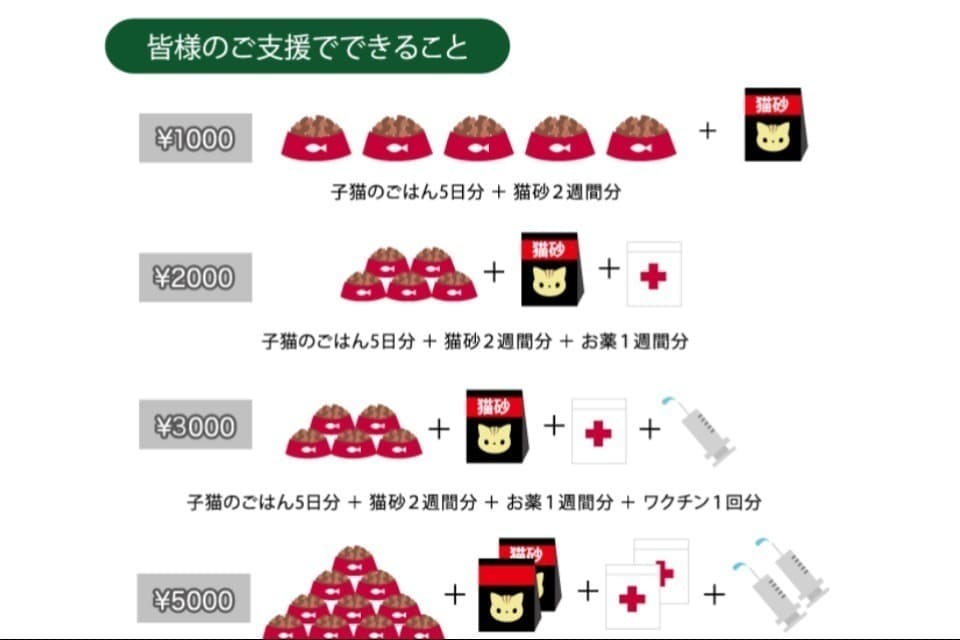 支援金の使い道の画像