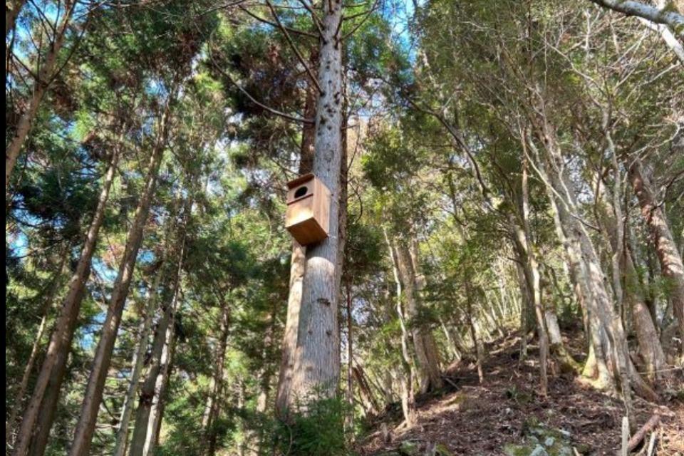 支援金の使い道の画像