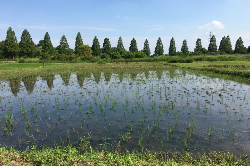 支援金の使い道の画像