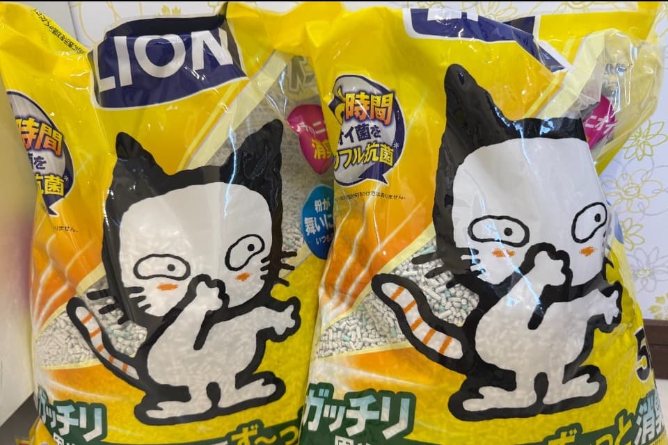 支援金の使い道の画像
