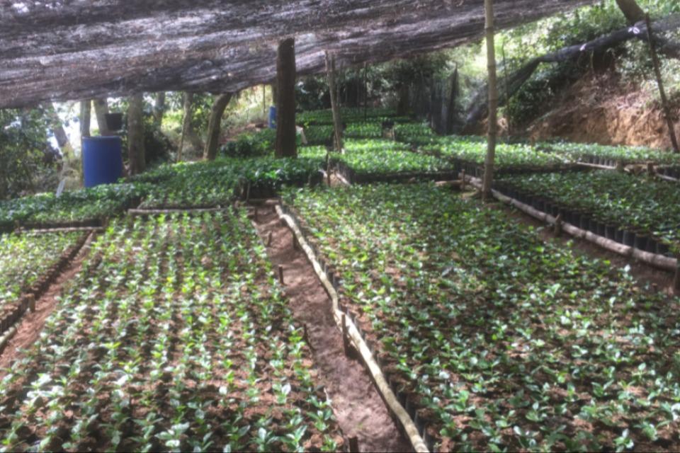 支援金の使い道の画像