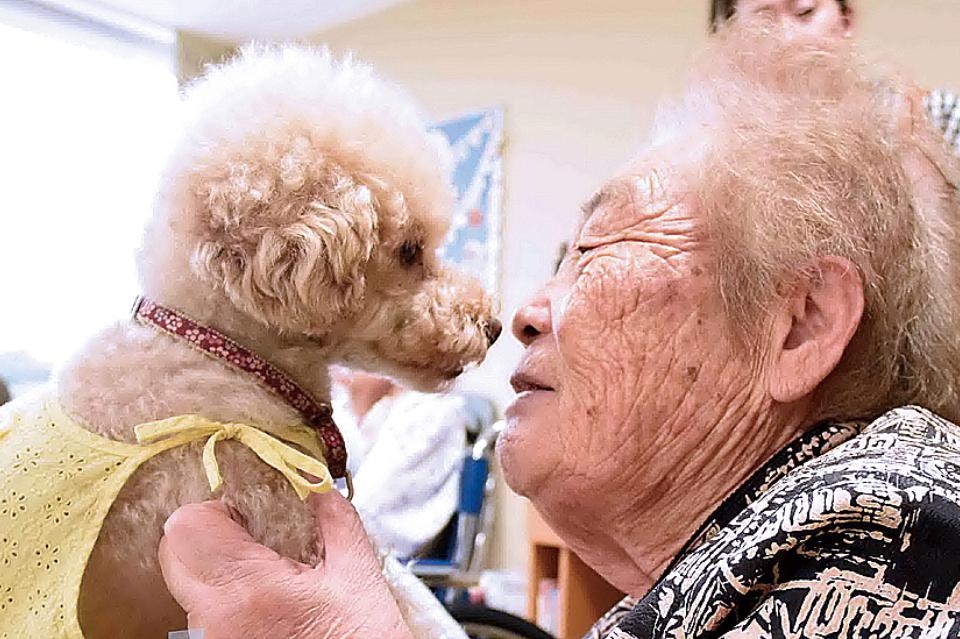 支援金の使い道の画像