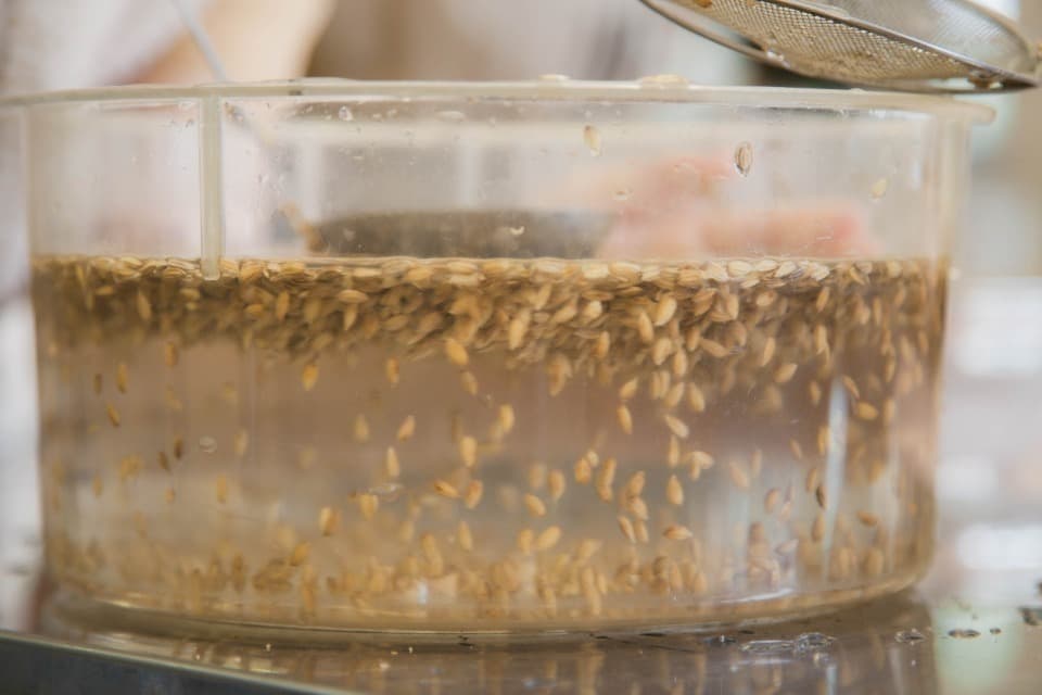 支援金の使い道の画像