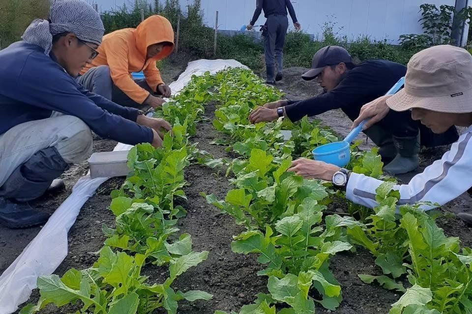 How support is used Image