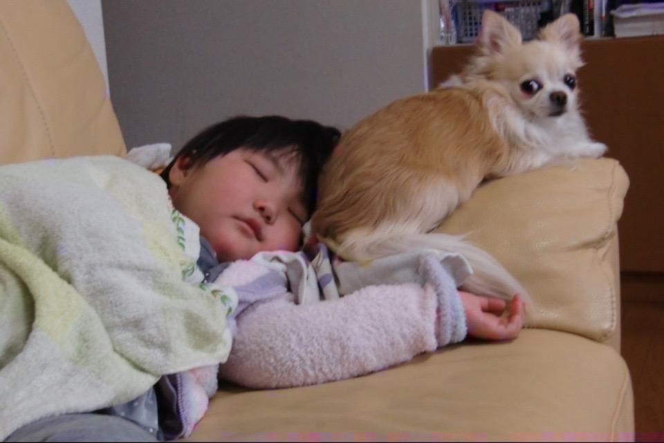 支援金の使い道の画像