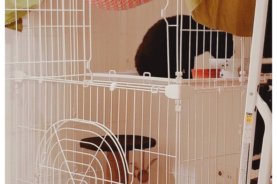 支援金の使い道の画像