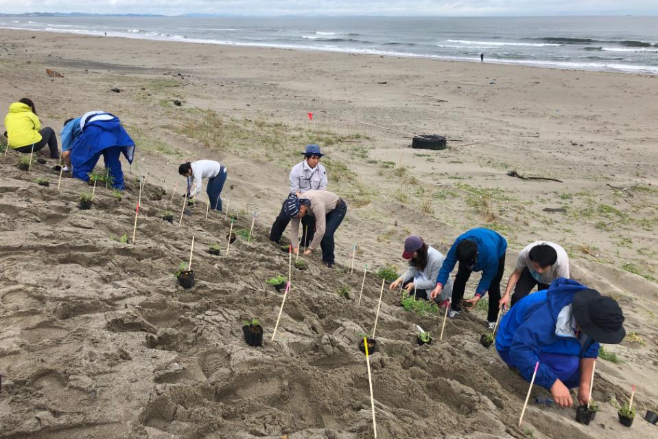 How support is used Image