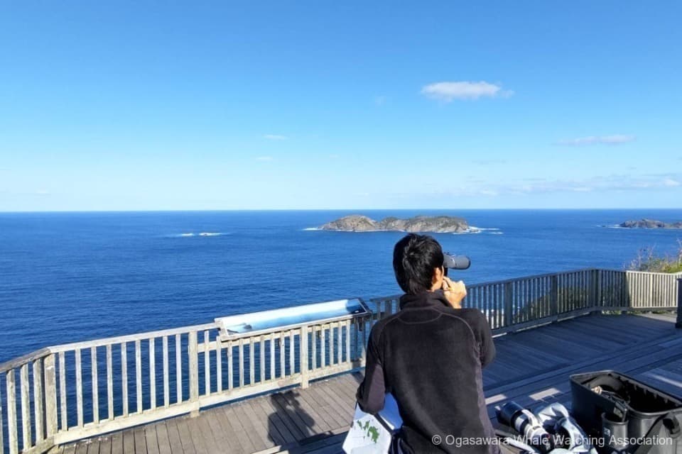 支援金の使い道の画像