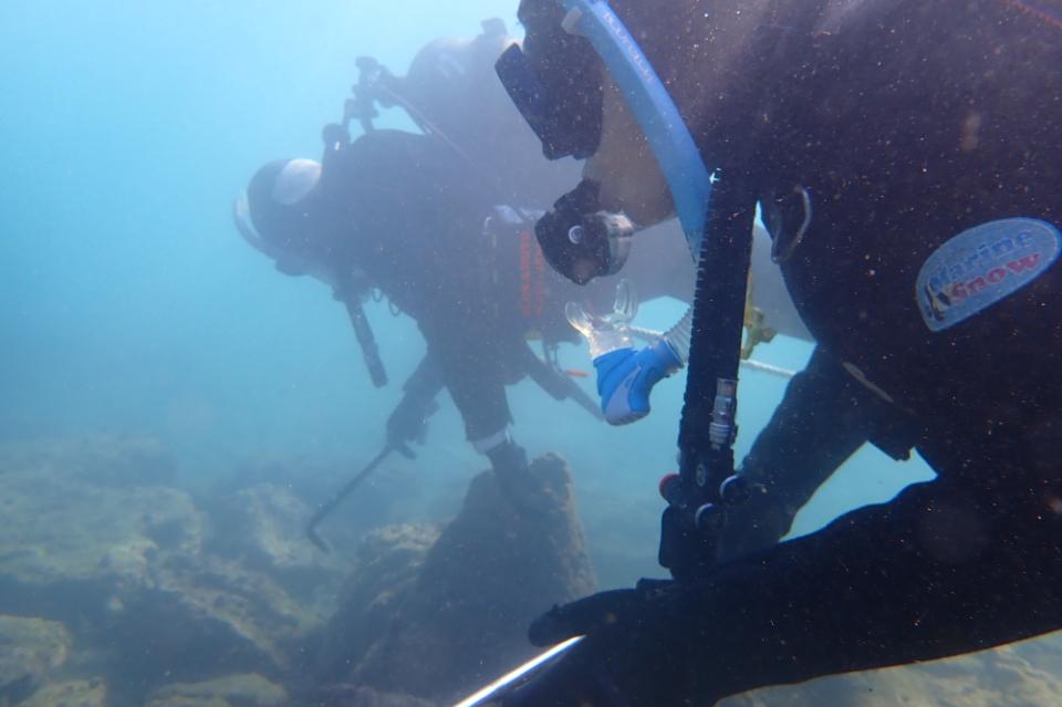 How support is used Image