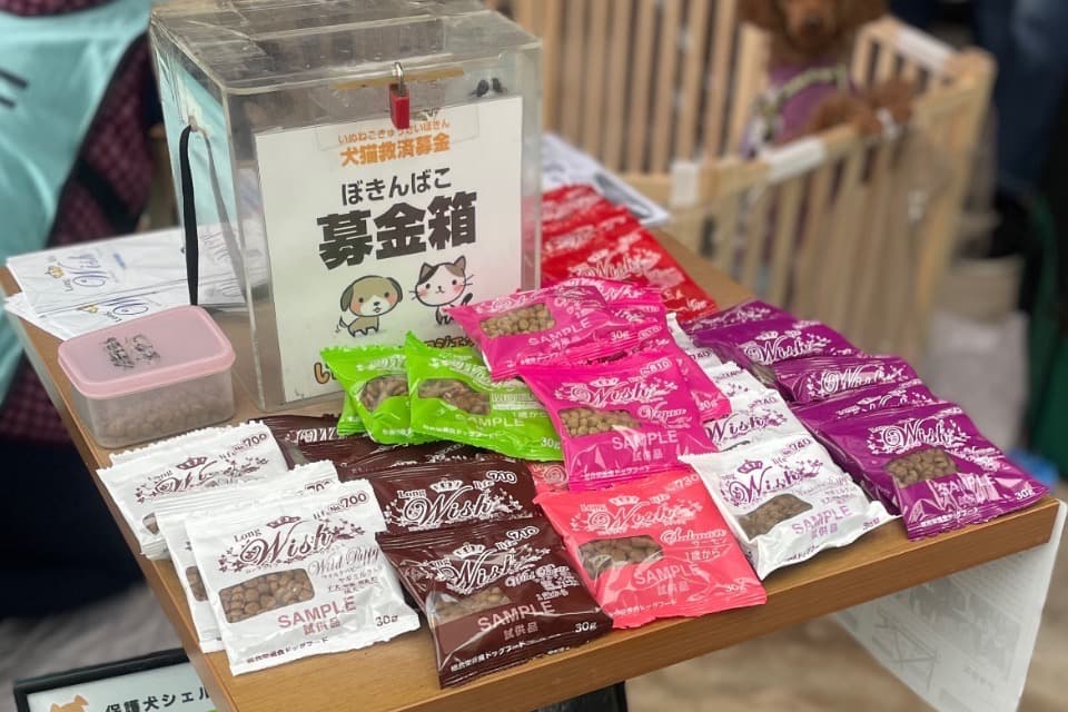 支援金の使い道の画像