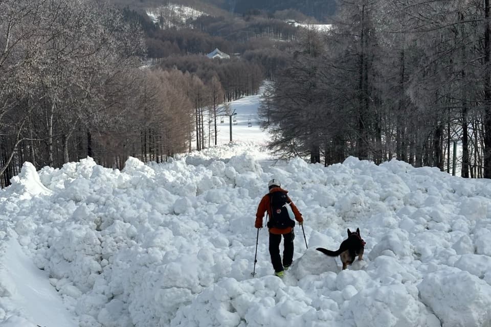 支援金の使い道の画像