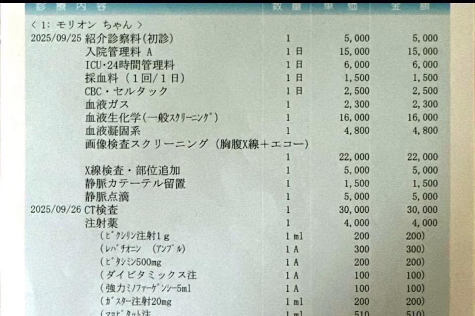 支援金の使い道の画像