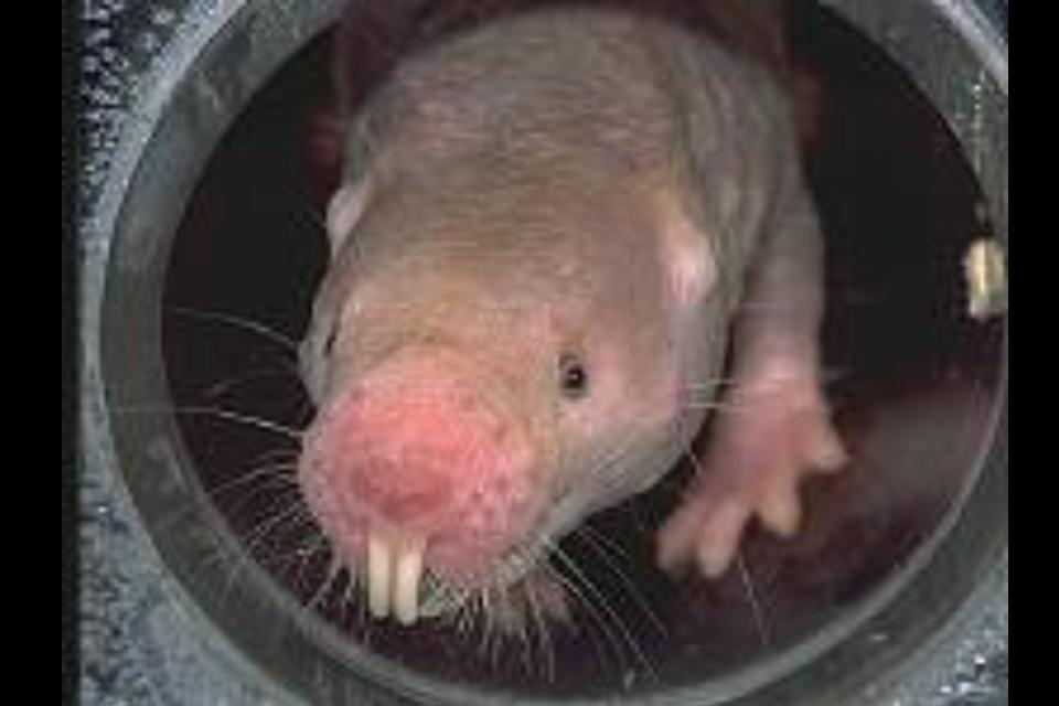 支援金の使い道の画像