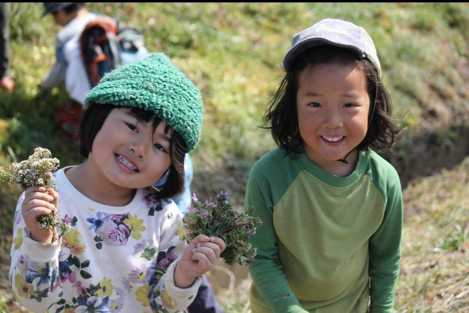 支援金の使い道の画像