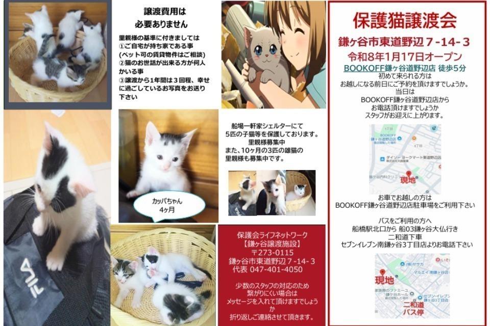 支援金の使い道の画像