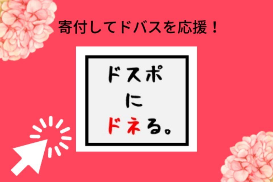 支援金の使い道の画像