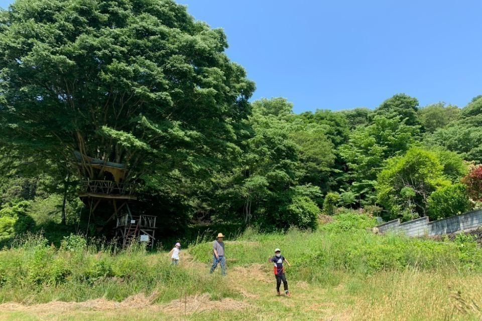 支援金の使い道の画像