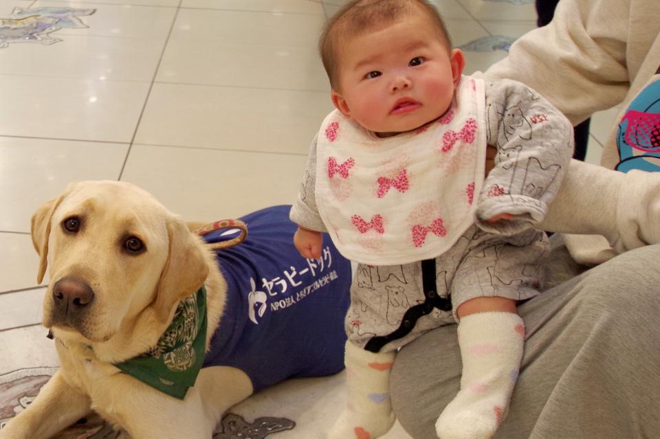 支援金の使い道の画像