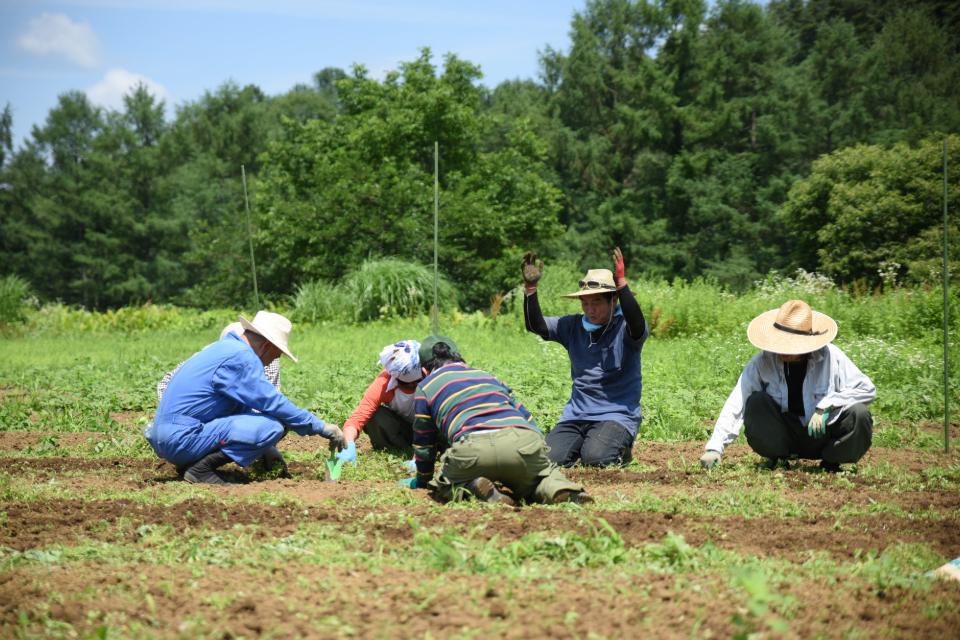 支援金の使い道の画像