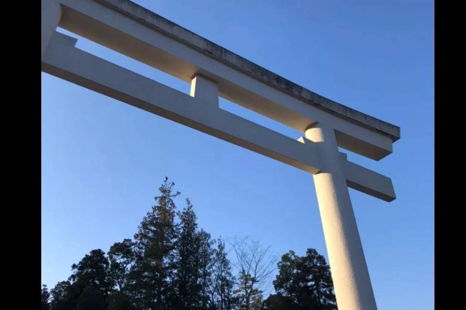 支援金の使い道の画像