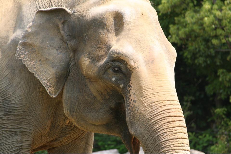 支援金の使い道の画像