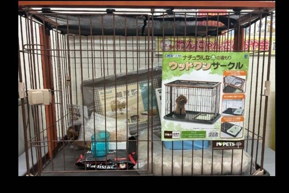 支援金の使い道の画像