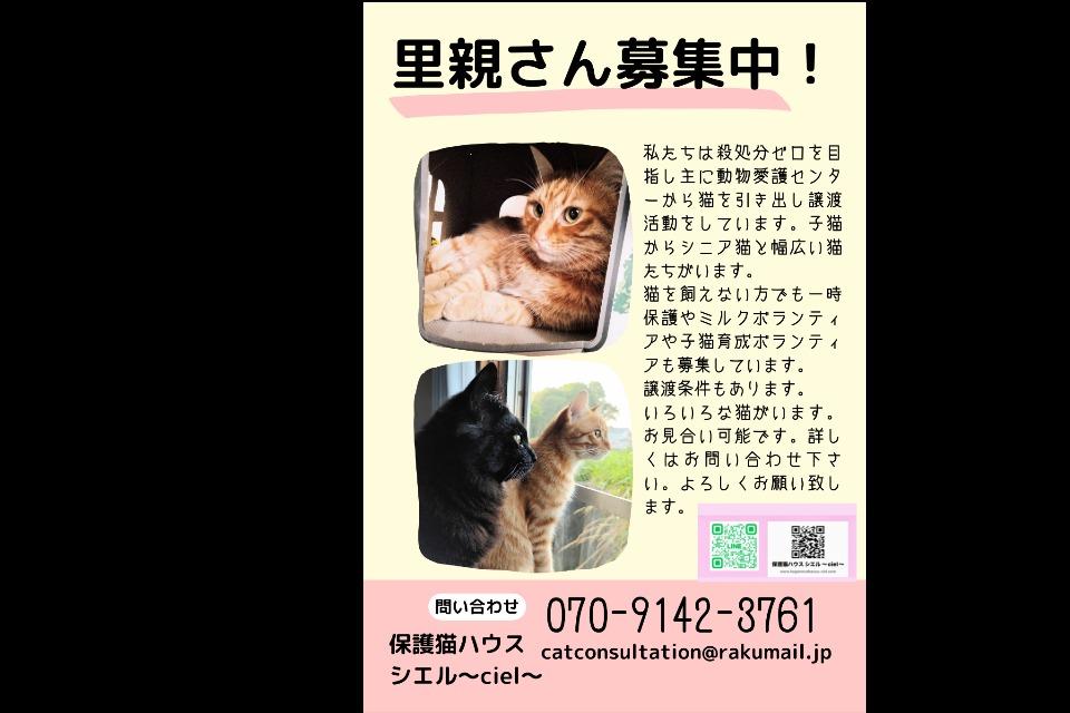 支援金の使い道の画像