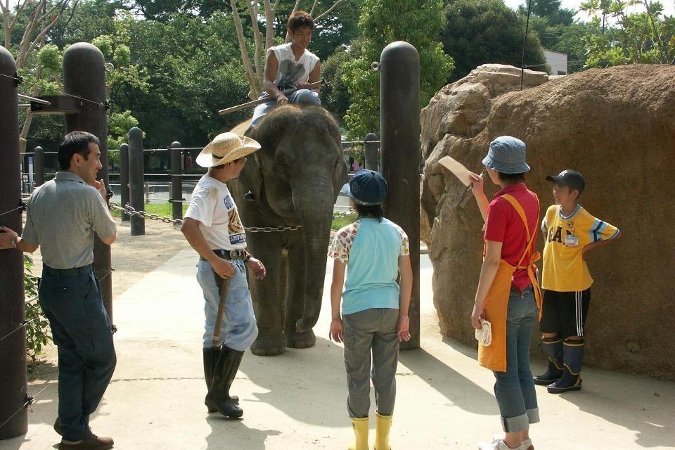 支援金の使い道の画像