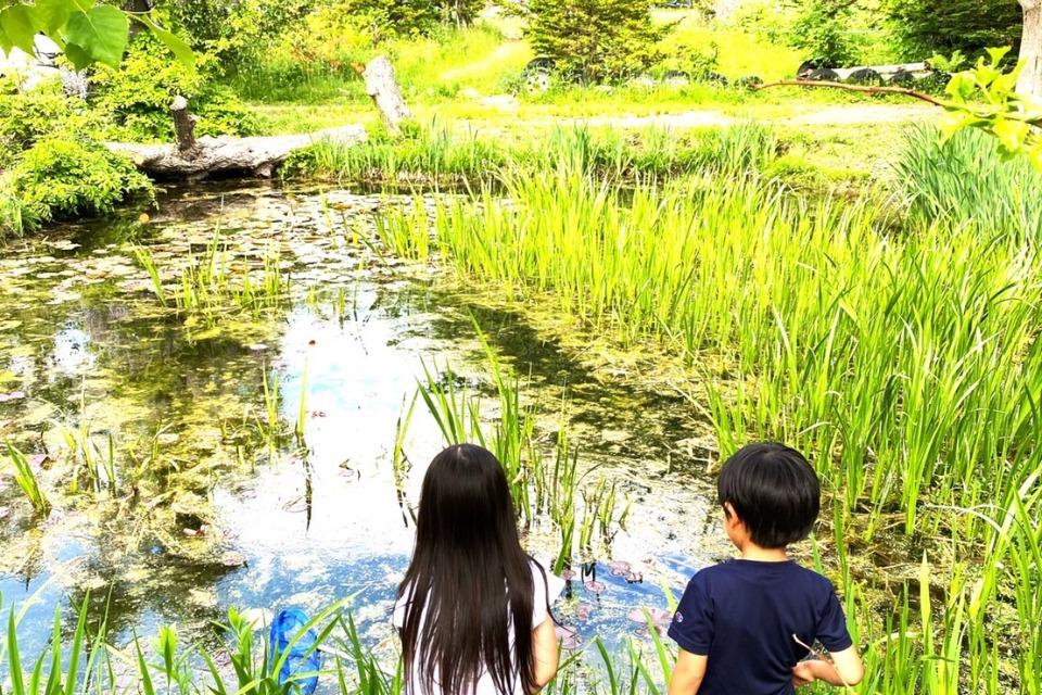 支援金の使い道の画像