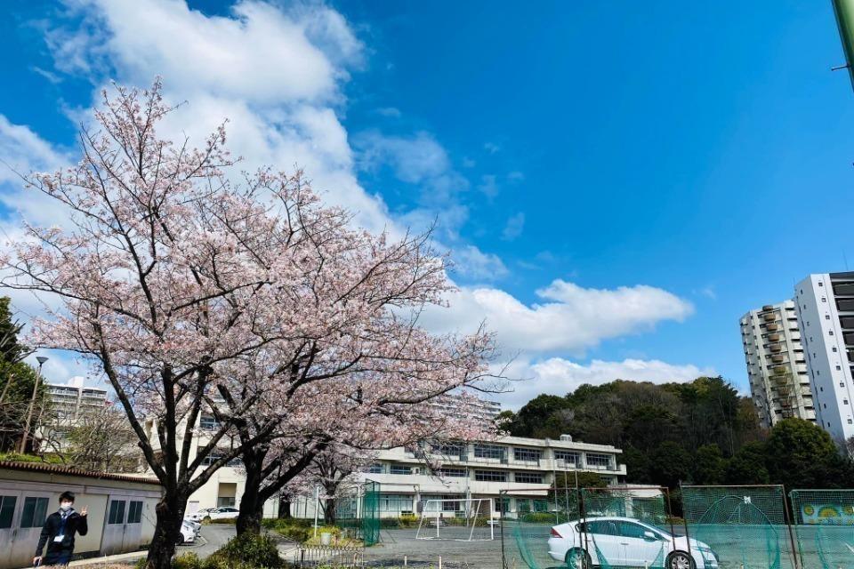 支援金の使い道の画像