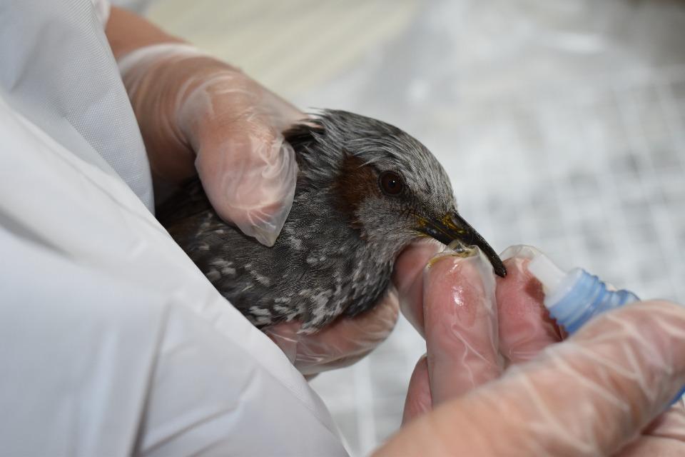 支援金の使い道の画像