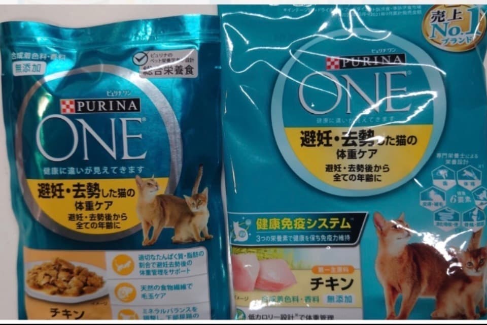 支援金の使い道の画像