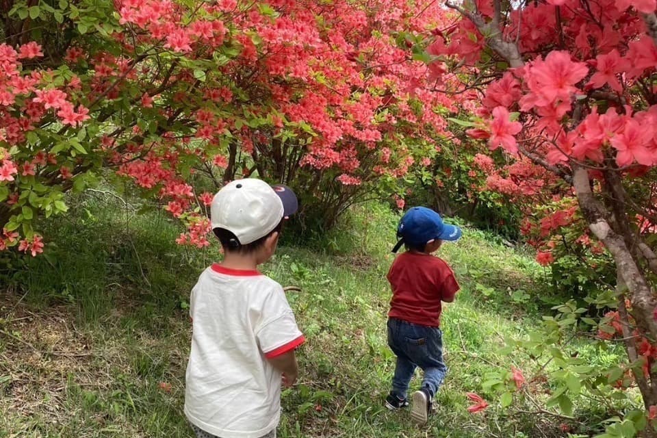 支援金の使い道の画像